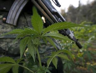 Toy company owners to be sentenced in drug scheme