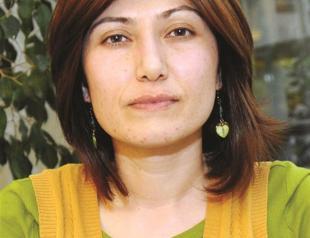 Director suspected of KCK probe released