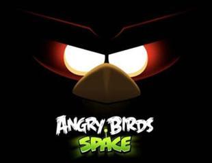Angry Birds ready for space flight