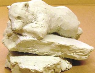 ‘Knut The Dreamer’: Berlin Zoo picks memorial to dead bear