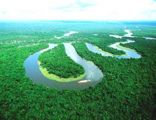 Amazon Basin turns into carbon emitter