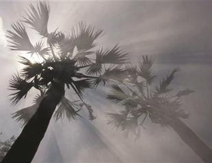 2011 the hottest year ever since 1880, scientists say