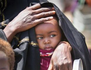 PACE hosts photos by Turkish journalists