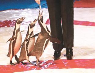 Atlantis Circus in western province of İzmir