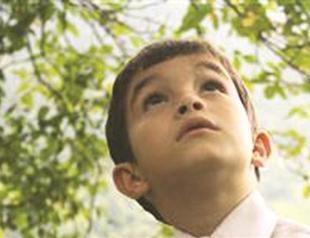 Support mechanism irritates all directors