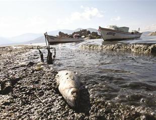 Turkey ranks low in environmental index
