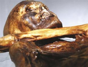 DNA results help to flesh out iceman‘Otzi’