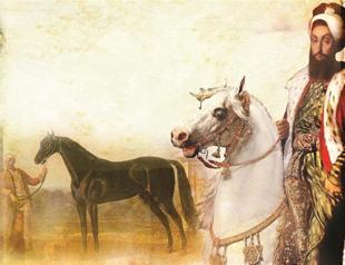 From Central Asia to the Byerley Turk