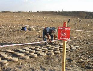 20 firms invited to bid for border demining job