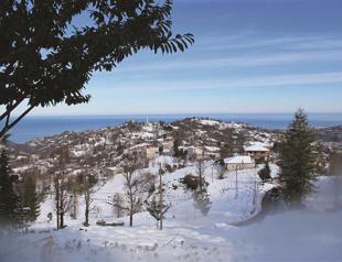 Aktepe, home of most famous tea