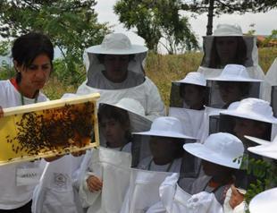 Turkey’s Changemakers: ‘Bee-like’ Entrepreneurs are On Their Way