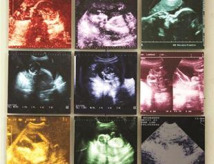 Exhibition of 40 female artists opens