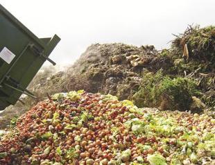Collaborating against tons of waste in food industry