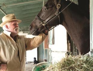 HBO show out over horse deaths