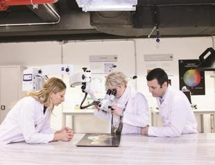 Lab to take care of paintings