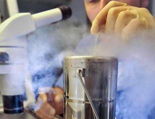 French firm blamed for Italy frozen embryo accident