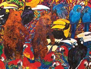 Discovering a cabinet of curiosities