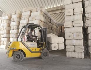 Indian government bans cotton exports