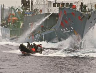 Activists attack ship of whalers
