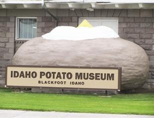 Museum shows less ordinary foods