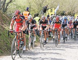 Anti-doping expert quits from project