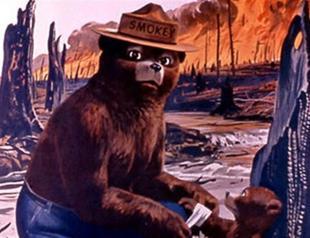 Smokey Bear becomes next space crews mascot