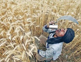 S&P downgrades India’s credit outlook to negative