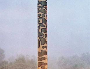 Missile race gains pace with Pakistan’s launch