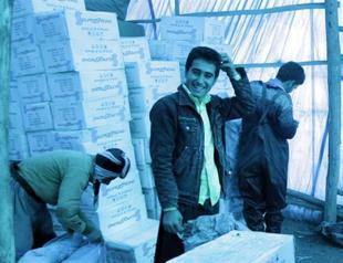 Alcohol consumption in Tehran worrying, official says