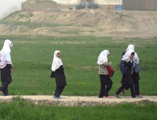 Afghan schoolgirls poisoned in anti-education attack