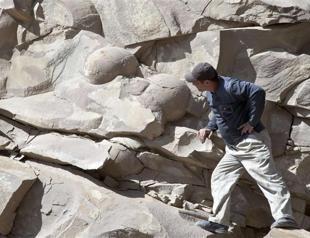 Chechnya claims worlds largest dinosaur eggs
