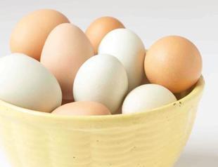 Cardiology professor writes controversial diet