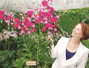 Australia might turn into food superpower, PM says