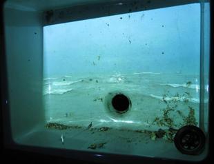 Botella Lucas questions Seven Sleepers myth