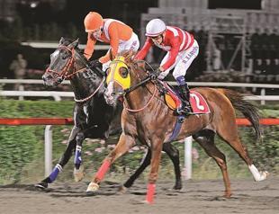 Horce race: Dont miss it