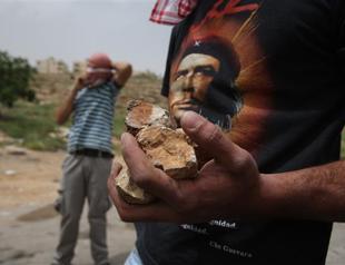 Israel orders 1,000 Palestinian trees uprooted