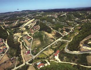 Government excludes gains from sales of deforested land