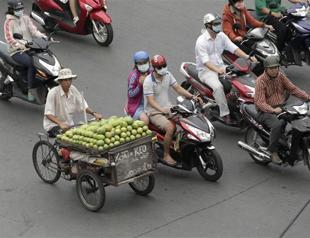 Vietnam asks WHO to help identify killer disease