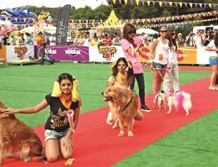 Festival for dogs and their owners to benefit charity