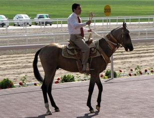 Turkmenistan holds horse beauty contest