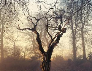 Vinyl helps artist criticize society