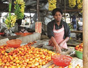 African growth may bounce back: report