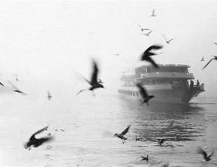 City photos get prize from Japan