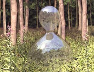 Gallery’s new season to focus on ecology