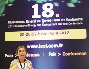 Minister demands interest in gas grids