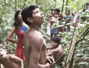 Colin Firth launches campaign for threatened tribe