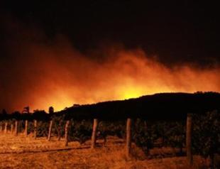 Australian jailed for bushfire that killed 10