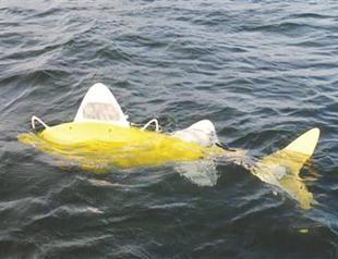 Robot fish take to sea to monitor pollution