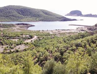 Draft law eases land fill on local coast lines