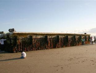 Huge Japan tsunami dock washes up on US